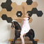 Hexagon Cork Notice Board Self Adhesive Wall Tiles