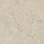 Naturtrend Cork Interlocking Floors
